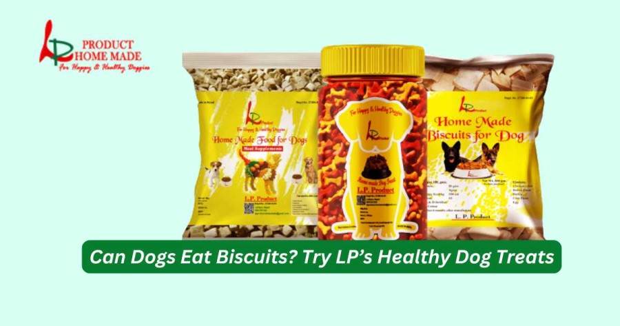 Can Dogs Eat Biscuits? LP Has Healthy Option