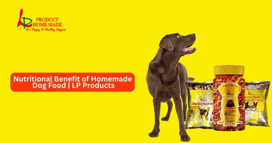 Nutritional Benefit of Homemade Dog Food