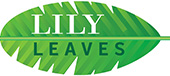 lily leaves
