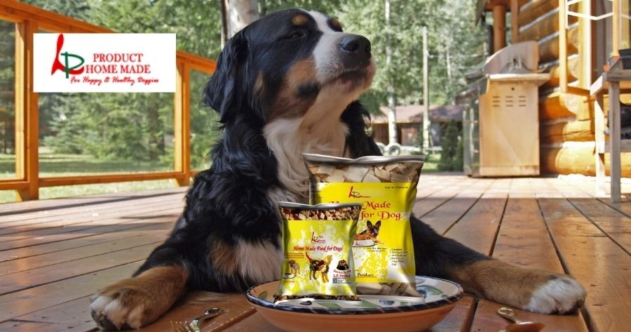 Dry Dog Food: Benefits and Top Brands to Consider